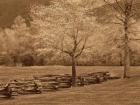 Smokies Fence