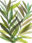 Tropical Greens I