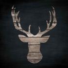 Urban Antlers I