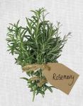 Rosemary