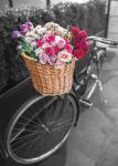 Basket of Flowers I