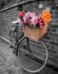 Basket of Flowers II