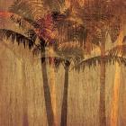 Sunset Palms II