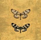 Pair of Butterflies on Gold