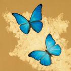 Cerulean Butterfly I