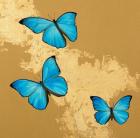 Cerulean Butterfly II