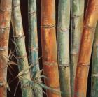 Caribbean Bamboo I