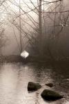 Silvered Morning Pond