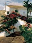 Courtyard Blossoms