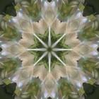 Colorful Kaleidoscope 5