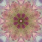 Colorful Kaleidoscope 8