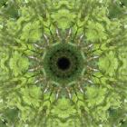 Colorful Kaleidoscope 11