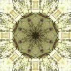 Colorful Kaleidoscope 13