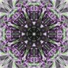 Colorful Kaleidoscope 19