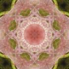 Colorful Kaleidoscope 20