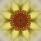 Colorful Kaleidoscope 21