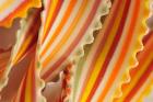 USA. Close-up of dried rainbow pasta noodles