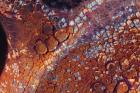 Layers Of Worn Auto Paint Abstract 2