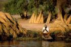 Local Man Fishing and Piles of Straw for Hatch, Okavango Delta, Botswana