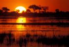 Setting Sun over Lush Banks, Chobe National Park, Botswana