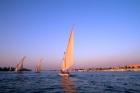 Beautiful Sailboats Riding Along the Nile River, Cairo, Egypt