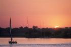 Traditional Egyptian Falucca, Nile River, Luxor, Egypt