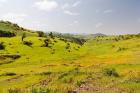 Landscape, Gonder and Lake Tana, Ethiopia