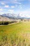 Grassy plains, Semien Mountains National Park, Ethiopia