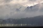 Mist rising from escarpment, Lake Nakuru National Park, Kenya