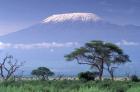 Mount Kilimanjaro, Amboseli National Park, Kenya