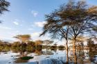 Flooded shoreline, Lake Naivasha, Crescent Island Game Park, Kenya