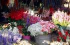 Bunch of Flowers at the Market, Madagascar