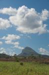 Sugar Cane Fields, Mauritius