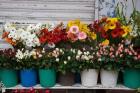 Flower Market, Port Louis, Mauritius