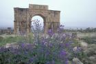 Ruins of Triumphal Arch in Ancient Roman city, Morocco