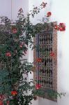 Courtyard with Zellij (Mosaic Tilework), Marrakech, Morocco