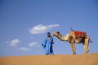 Man leading camel on sand dunes, Tinfou (near Zagora), Morocco, Africa