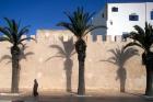 Man and Palm Shadows on Walled Medina, Essaouira, Morocco
