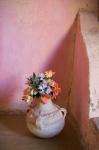 Flowers and Room Detail in Dessert House (Chez Julia), Merzouga, Tafilalt, Morocco