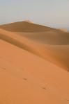 Erg Chebbi Dunes, Morocco