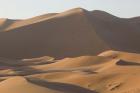 MOROCCO, Tafilalt, MERZOUGA: Erg Chebbi Dunes