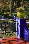 Villa Gardens, Jardin Majorelle and Museum of Islamic Art, Marrakech, Morocco