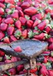 Strawberries for sale in Fes medina, Morocco
