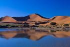 Sossusvlei Dunes Oasis, Namib National Park, Namibia