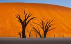 Namib-Naukluft National Park, Namibia