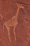 Ancient rock etchings, Twyfelfontein, Damaraland, Namibia