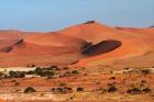 Sand dune at Sossusvlei, Namib-Naukluft National Park, Namibia