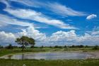 Okaukuejo waterhole, Etosha National Park, Namibia