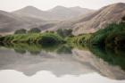 Greenery Along the Banks of the Kunene River, Namibia