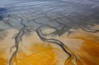 Namibia, Walvis Bay, Namib Rand Desert